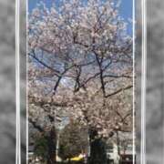 ヒメ日記 2026/04/01 12:55 投稿 れん バイオレンス