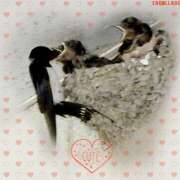 ヒメ日記 2026/04/08 05:25 投稿 れん バイオレンス