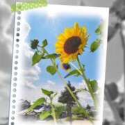ヒメ日記 2026/07/20 09:21 投稿 れん バイオレンス