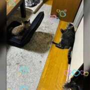 ヒメ日記 2026/08/10 06:15 投稿 れん バイオレンス