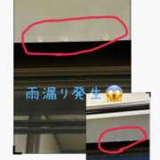 ヒメ日記 2026/08/13 11:10 投稿 れん バイオレンス