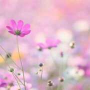 ヒメ日記 2025/10/14 21:46 投稿 大原真千子 五十路マダム愛されたい熟女たち 津山店