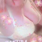 ヒメ日記 2025/02/02 08:36 投稿 さくら ニューヨーカー