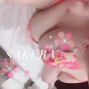 ヒメ日記 2025/09/28 20:30 投稿 さくら ニューヨーカー