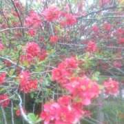 ヒメ日記 2025/10/23 19:58 投稿 ふゆみ 熟女の風俗最終章 高崎店