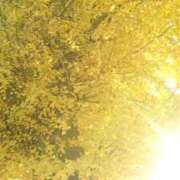 ヒメ日記 2025/11/28 14:18 投稿 ふゆみ 熟女の風俗最終章 高崎店