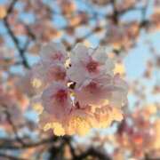 ヒメ日記 2026/03/09 22:46 投稿 ふゆみ 熟女の風俗最終章 高崎店