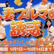 ヒメ日記 2024/09/01 14:52 投稿 とわ 逢って30秒で即尺