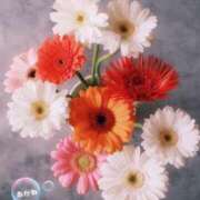 ヒメ日記 2025/06/05 21:37 投稿 あかね 上野添い寝女子