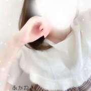 ヒメ日記 2025/08/20 08:34 投稿 あかね 上野添い寝女子