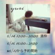 ヒメ日記 2024/06/12 07:02 投稿 ユリ PALCO