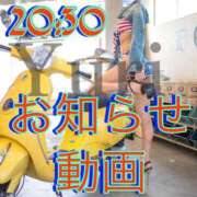 ヒメ日記 2024/06/22 14:03 投稿 ユリ PALCO