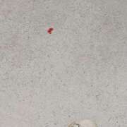 ヒメ日記 2025/07/06 19:54 投稿 若菜(わかな) 八王子人妻城