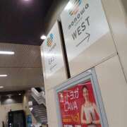 ヒメ日記 2025/08/25 16:15 投稿 若菜(わかな) 八王子人妻城