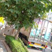 ヒメ日記 2025/08/26 11:18 投稿 若菜(わかな) 八王子人妻城