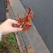 ヒメ日記 2025/10/26 17:33 投稿 若菜(わかな) 八王子人妻城