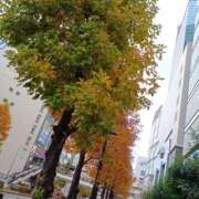 ヒメ日記 2025/11/18 13:24 投稿 若菜(わかな) 八王子人妻城