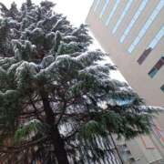 ヒメ日記 2026/02/08 14:18 投稿 若菜(わかな) 八王子人妻城