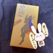 ヒメ日記 2026/04/20 17:17 投稿 コナツ ドMな奥様 名古屋・錦店