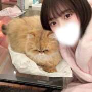 ヒメ日記 2026/02/16 21:22 投稿 あすか 女帝