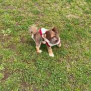 ヒメ日記 2025/05/04 07:51 投稿 つぐみ 北九州人妻倶楽部（三十路、四十路、五十路）