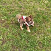 ヒメ日記 2025/06/20 07:33 投稿 つぐみ 北九州人妻倶楽部（三十路、四十路、五十路）