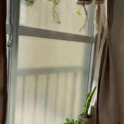 ヒメ日記 2025/09/19 07:53 投稿 つぐみ 北九州人妻倶楽部（三十路、四十路、五十路）