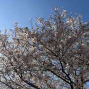 つぐみ ジメジメ 北九州人妻倶楽部（三十路、四十路、五十路）