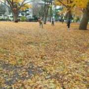 ヒメ日記 2025/11/10 12:31 投稿 西園寺 熟女の風俗最終章 横浜本店