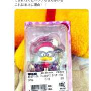 ヒメ日記 2025/04/03 18:08 投稿 まお 成田富里インターちゃんこ