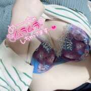 ヒメ日記 2025/03/25 14:16 投稿 ノン EN