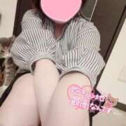 ヒメ日記 2025/05/06 15:19 投稿 ノン EN