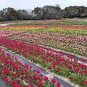 ヒメ日記 2026/03/28 16:54 投稿 ノン EN