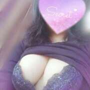 ヒメ日記 2025/04/03 12:19 投稿 さき 長崎佐世保ちゃんこ