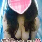 ヒメ日記 2025/08/30 12:08 投稿 さき 長崎佐世保ちゃんこ