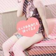 ヒメ日記 2025/02/27 19:40 投稿 コハル秘書 秘書の品格 クラブアッシュ ヴァリエ