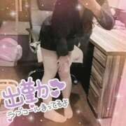 ヒメ日記 2025/05/11 05:44 投稿 コハル秘書 秘書の品格 クラブアッシュ ヴァリエ