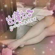 ヒメ日記 2025/06/05 18:52 投稿 コハル秘書 秘書の品格 クラブアッシュ ヴァリエ