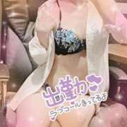 ヒメ日記 2025/07/14 19:14 投稿 コハル秘書 秘書の品格 クラブアッシュ ヴァリエ