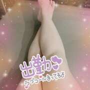 ヒメ日記 2025/07/19 06:11 投稿 コハル秘書 秘書の品格 クラブアッシュ ヴァリエ