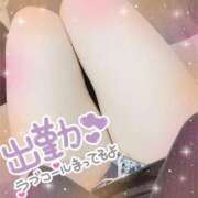 ヒメ日記 2025/12/31 06:02 投稿 コハル秘書 秘書の品格 クラブアッシュ ヴァリエ