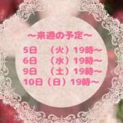 ヒメ日記 2026/05/01 22:46 投稿 さやか ぽっちゃり巨乳専門店 町田相模原ちゃんこ