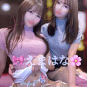 ヒメ日記 2025/04/09 12:00 投稿 華 アカデミー