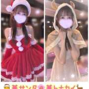 華 期間限定!!!✨️ アカデミー