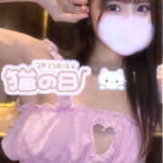 華 本日は…にゃん🐱🌸 アカデミー