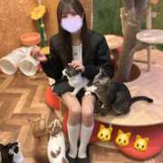 ヒメ日記 2026/04/22 10:36 投稿 華 アカデミー