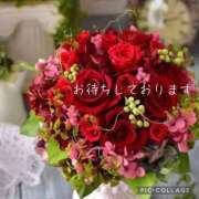 ヒメ日記 2025/10/28 08:55 投稿 君嶋えみ 松戸人妻花壇