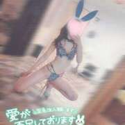 ヒメ日記 2025/01/15 17:03 投稿 エル バニーコレクション新潟店