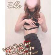 ヒメ日記 2025/02/18 01:44 投稿 エル バニーコレクション新潟店