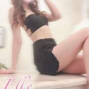 ヒメ日記 2025/02/20 17:00 投稿 エル バニーコレクション新潟店